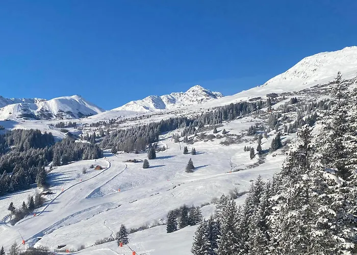 Silvretta 3 Sterne Superior Inklusive Super Sommer Card
